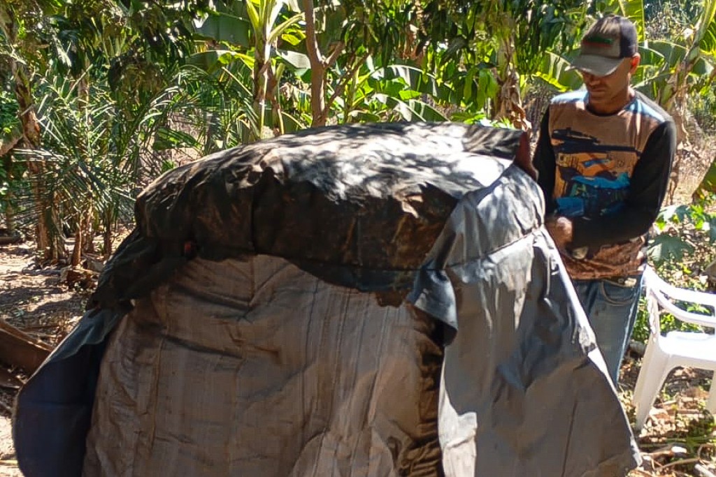 Agricultores familiares aprendem técnicas de produção de silagem para garantir alimentação do rebanho durante a seca