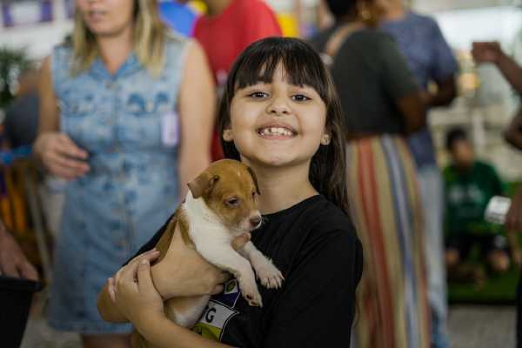 Plataforma digital voltada à causa animal é implantada em Lucas do Rio Verde