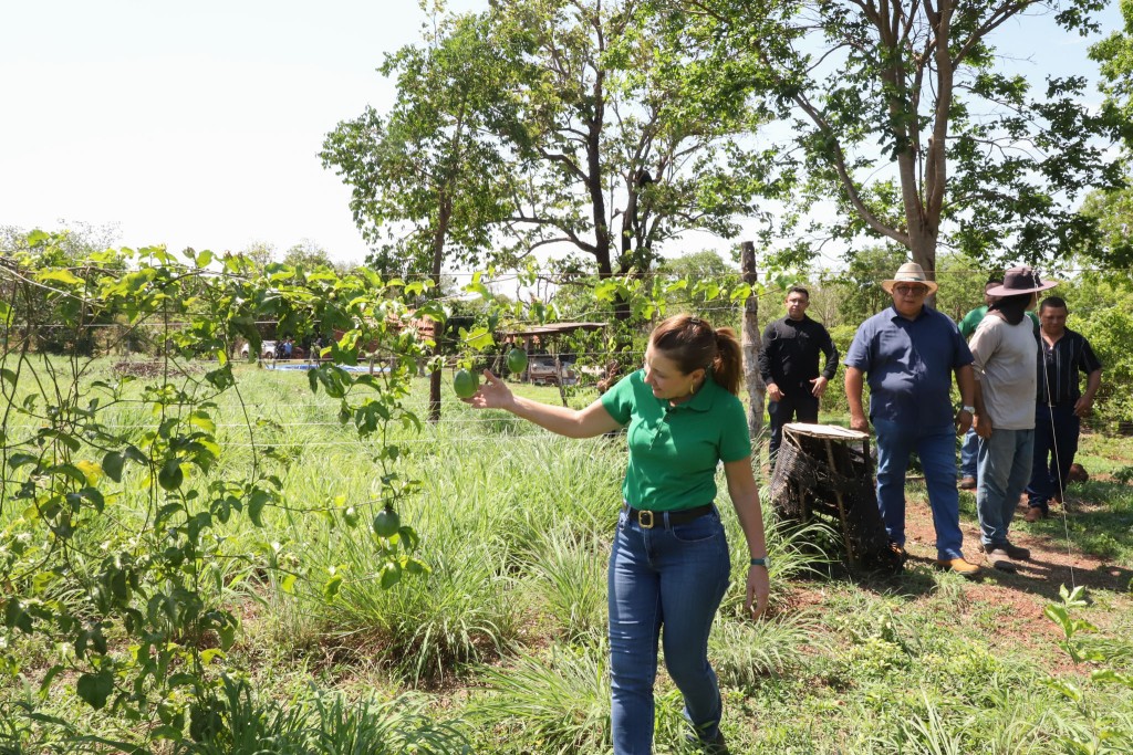 Visita a produtores familiares destaca diversificação da agricultura em Várzea Grande