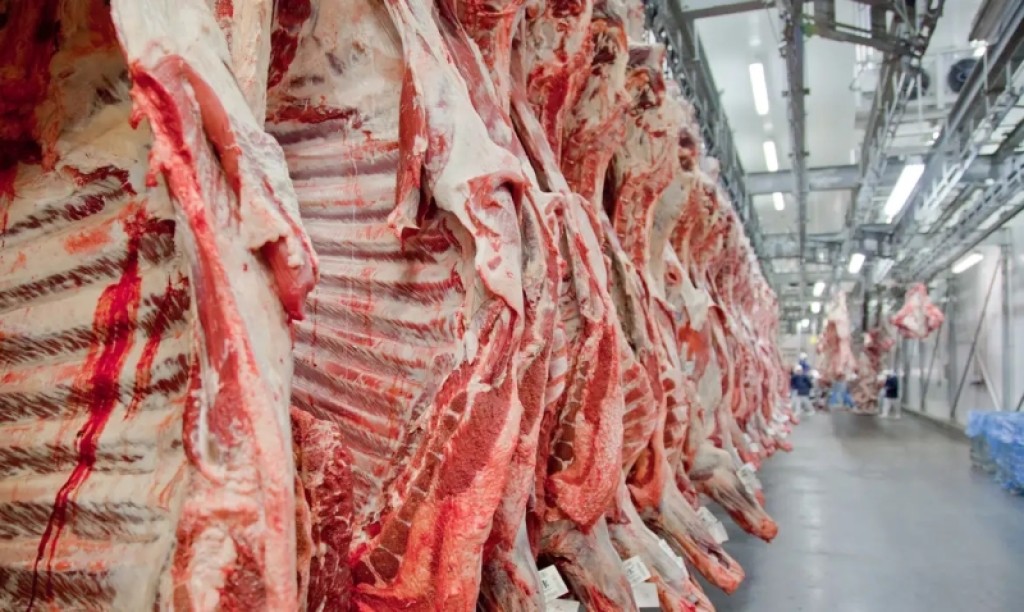 Exportações de carne bovina de Sinop já superam todo o ano de 2025 e crescem 27,75% em 2026