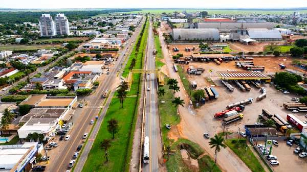 Obras na BR-163: supressão de palmeiras terá intervenção na Avenida da Produção nesta sexta-feira (23) em Lucas do Rio Verde