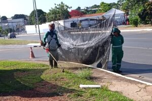 VG em Ação reforça limpeza e conservação em bairros e avenidas de Várzea Grande